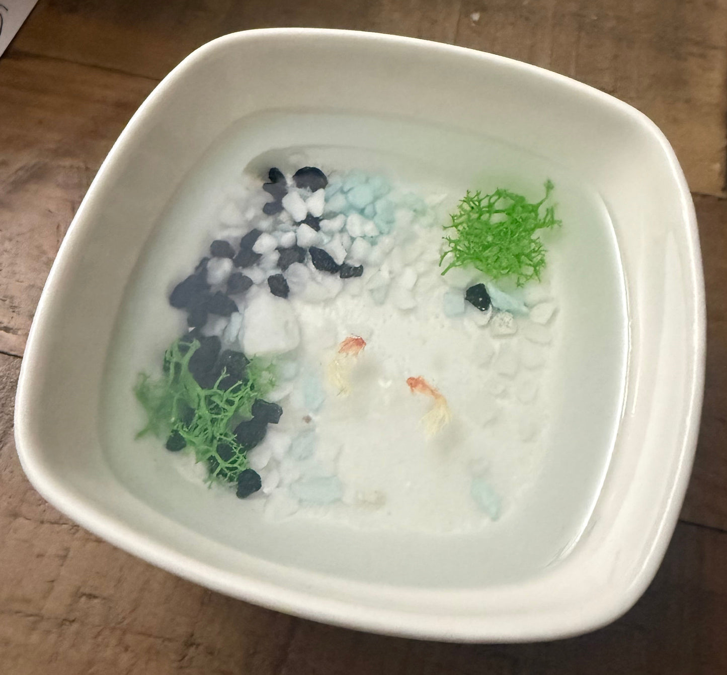 Trinket Jewelry Tray