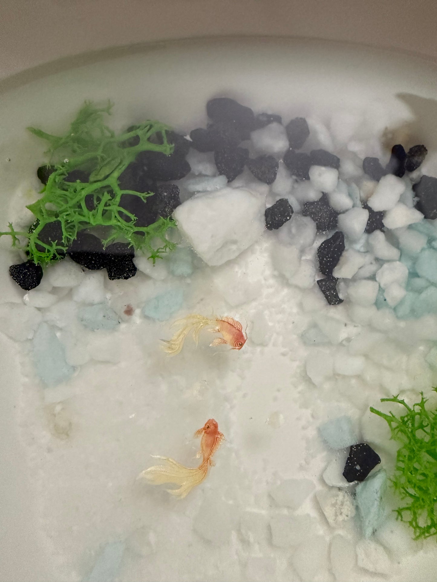 Trinket Jewelry Tray