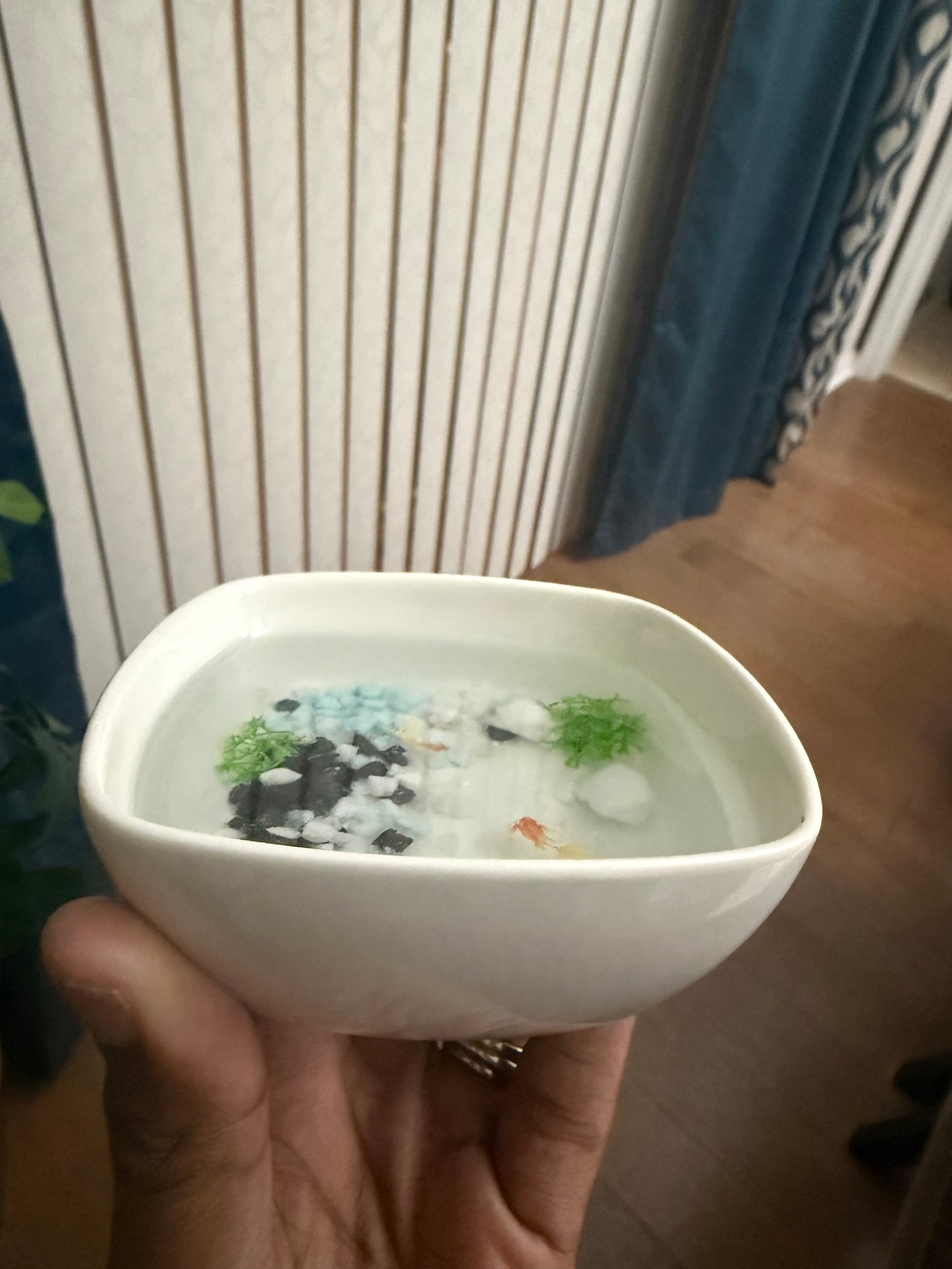 Trinket Jewelry Tray